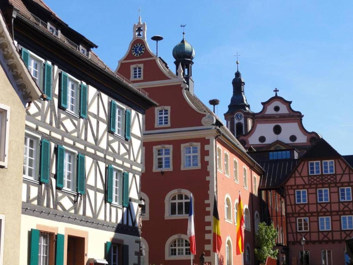 Perfekt Fuer Familien Und Gruppen Nur 10Min Vom Europapark - W6 Apartment Етенхайм Екстериор снимка